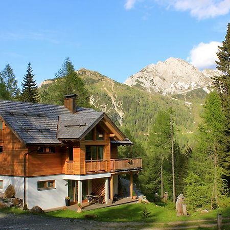 Апартаменты Almhaus Nassfeld Зонненальпе-Насфельд Экстерьер фото